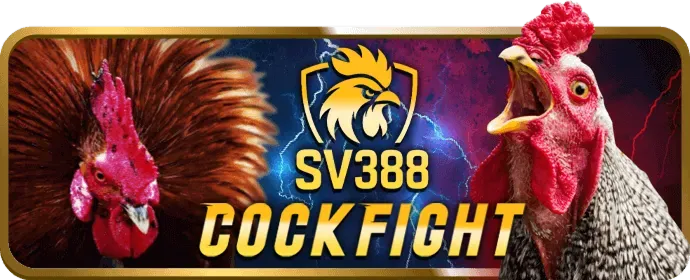 Chương trình hoàn trả và thưởng nạp tiền awin Casino