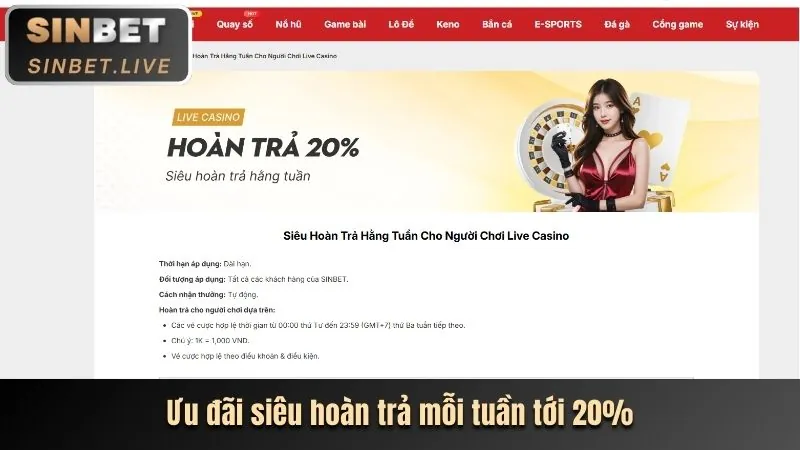 Đội ngũ hỗ trợ khách hàng tận tâm của awin casino